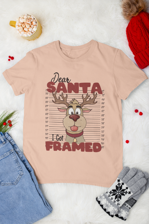 Rudolph Mugshot Funny Christmas T Shirt Hipsters Remedy